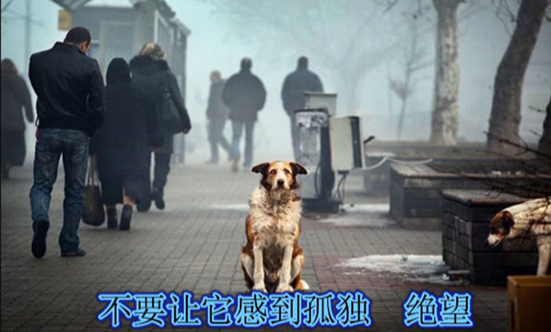 塘沽塘沽爱影圈微博微信转发案例